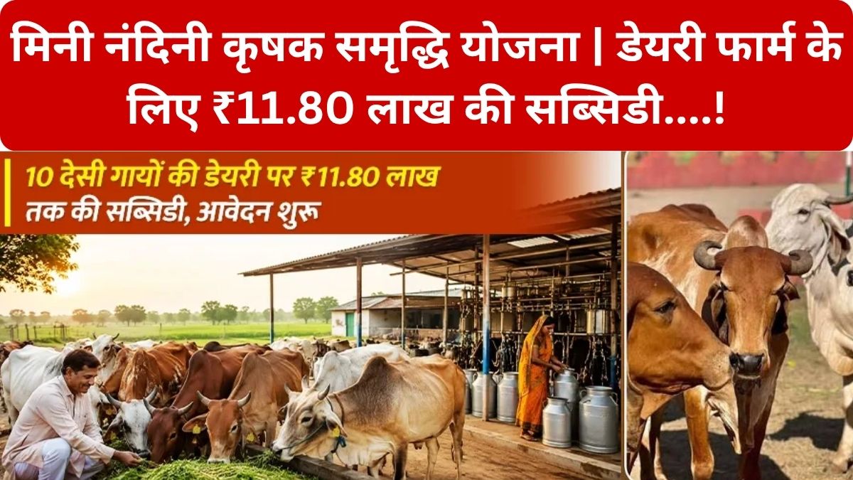 Mini Nandini Krishak Samriddhi Yojana